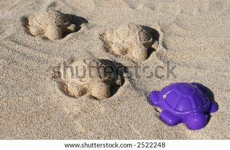 four turtles