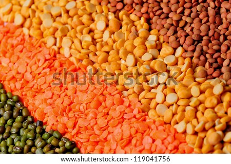 Different kinds of grains , dhall, lentils, bean sprout