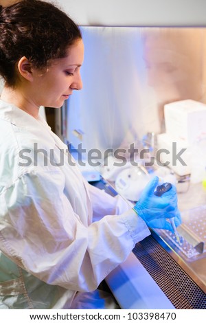 Female researcher works with pipette and test tubes in a laminar box at lab