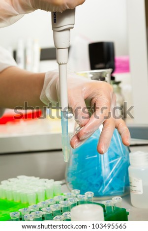 Pipetting - preparation of biological sample. Gloved hand holds an Eppendorf test tube with a pipette tip in it