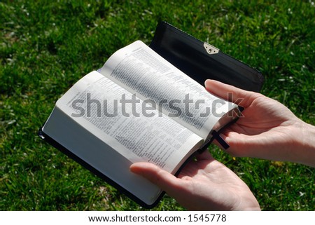 A female studying a Holy Bible