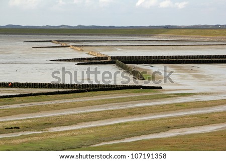 The Wadden Sea of the Island of Sylt at low tide