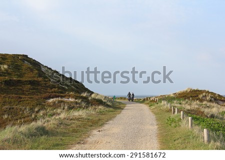 Cycle path on the island of Sylt in Germany