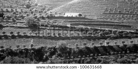 Black and white photo of the Douro Valley in Portugal and vineyards in the mountains and the farm