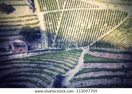 Terraced vineyards of the Douro Valley, Portugal that illustrators the viticulture and heritage