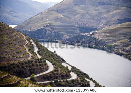 Vineyards and panoramic views of Douro Valley, Portugal