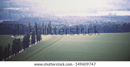 Beautiful summer landscape from above with the direct row of the trees