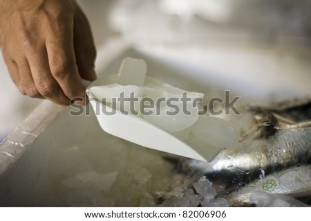 Man\'s hand (position of the hand that can be easily isolated) putting the ice cubes in the box on the fish