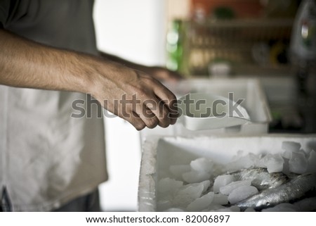 Man's hand (position of the hand that can be easily isolated) putting the ice cubes in the box on the fish