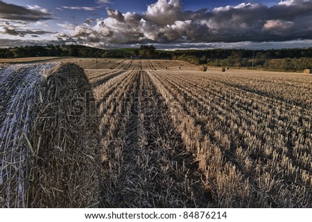 Golden Harvest: Hay bales in a field with stung lead line, sky and farmstead in the background