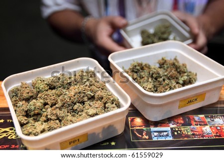 Amsterdam Coffee Shops on Coffee Shop In Amsterdam Selling Cannabis Stock Photo 61559029