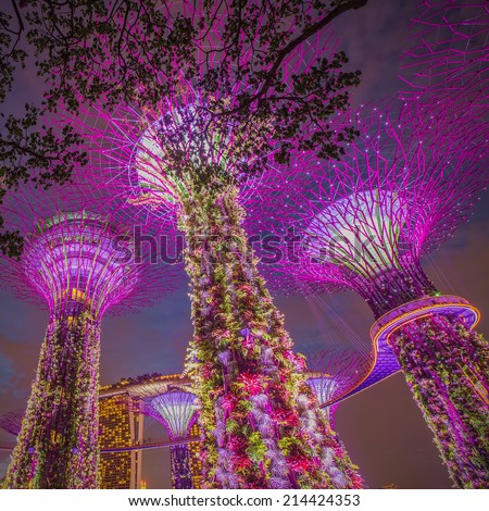SINGAPORE-AUG 31: Night view of The Supertree Grove at Gardens by the Bay on august 31, 2014 in Singapore. Spanning 101 hectares, and five-minute walk from Bayfront MRT Station.