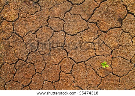 Arid areas,Global Warming,Climate Change
