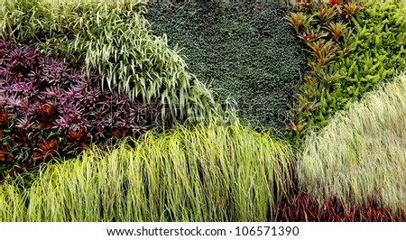 Vertical Garden with various tropical plants growing in a pattern