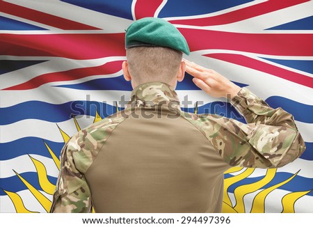 Soldier saluting to Canadian province flag series - British Columbia
