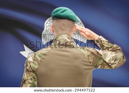 Soldier saluting to US state flag series - Louisiana