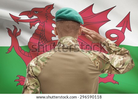 Dark-skinned soldier in hat facing national flag series - Wales