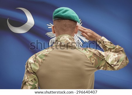 Dark-skinned soldier in hat facing US state flag series - South Carolina