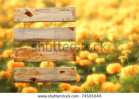 yellow flowers background. stock photo : Wood Sign With Yellow Flowers Background