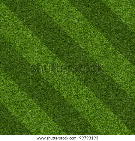 Grass Field Texture
