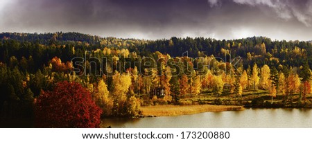 autumn colored landscape, forest, lakes and trees, dark sky moving in from horizon