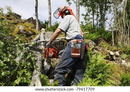lumberjack, forest worker in action, sharpness on main-parts such as chainsaw, helmet and sidebag.