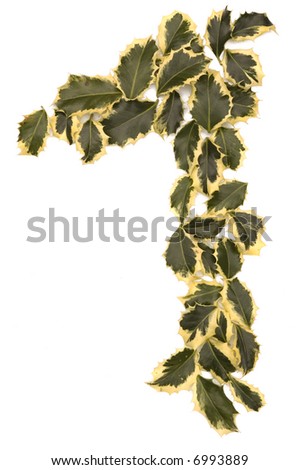 Holly Leaves in the form of the digit one. Isolated on white.