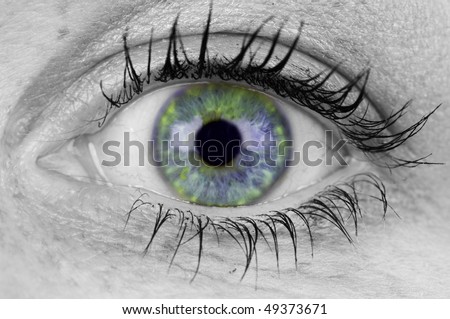 Macro closeup of a woman\'s eye where the eye is black and white and the pupil is colorful.