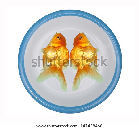 Golden fish on plate isolated on white background