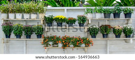 Flowers in garden pot on step wood wall