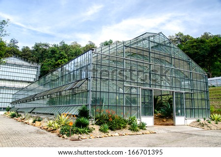 Green house of cactus