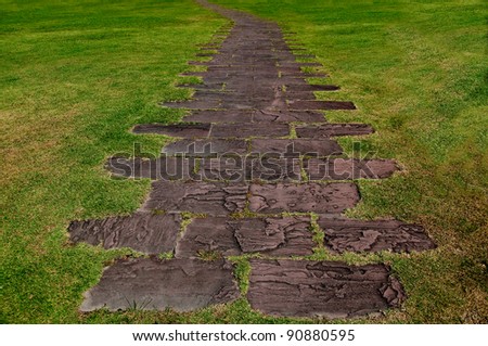 The Stone block walk path in the park with green grass background