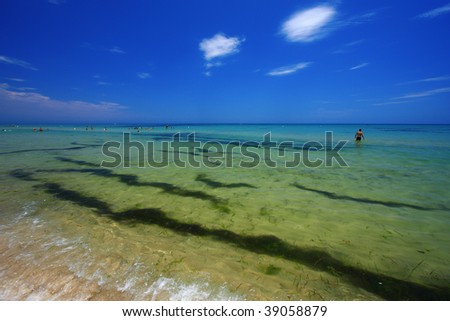 Very bright day, beautiful clear water, clear wave breaking into shore. Bright blue sky, minimal cloud cover. Tunis.