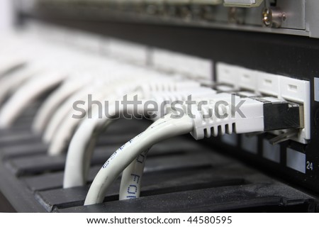 A shot of network cables in Data Center. UTP cables connected to a Patch Panel. Data Network Hardware Concept. RJ45 connectors.