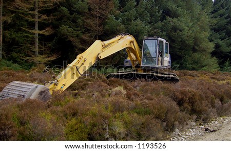 Earth moving machinery laying idle in the forest