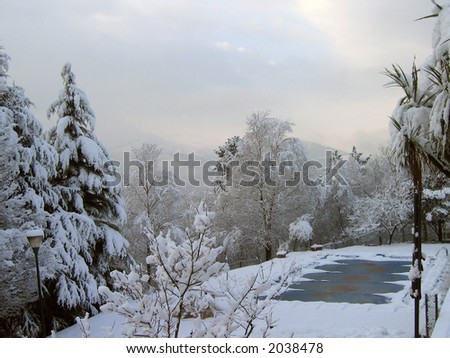 Snowed landscape and freezed swimming pool