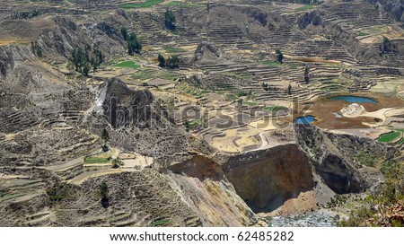 Andes Terraces