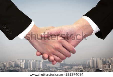 Two business man shaking hand