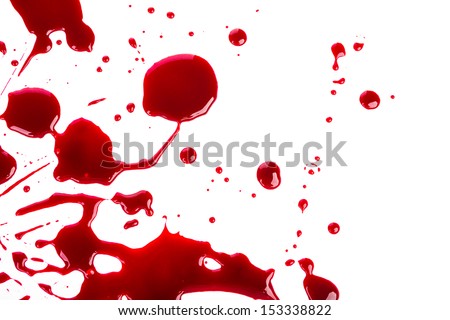 Halloween concept : Blood splatter on white background