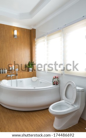 Modern House Bathroom Interior