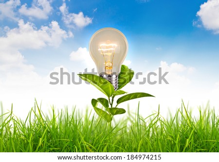 Eco concept - light bulb grow in the grass against white background