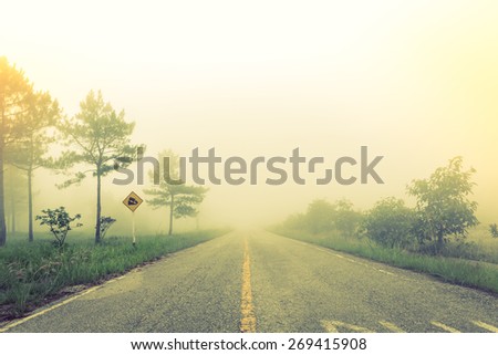 Road in fog with trees ( Filtered image processed vintage effect. )