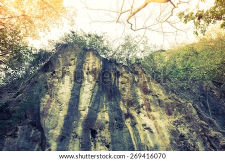 Cliff in forest ( Filtered image processed vintage effect. )