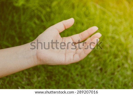 Woman hand on green grass ( Filtered image processed vintage effect. )