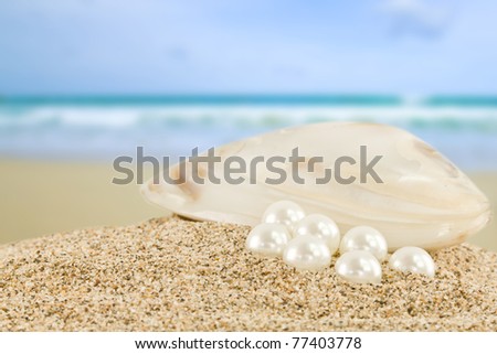 Sea shell with great white pearl