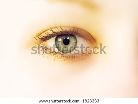 Female eye in soft tone