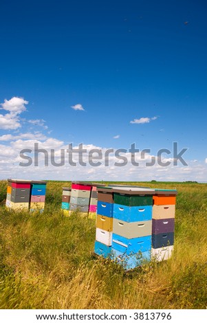 Colorful bee hives with bees swarming in the blue sky