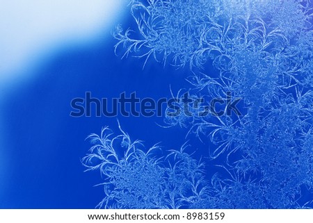 Natural winter ice patterns on a window
