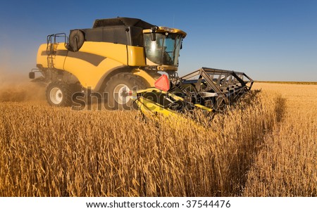 A yellow  combine harvester working in a wheat field