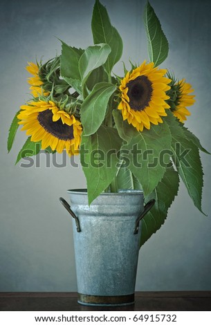 Sunflower in the rustic vase